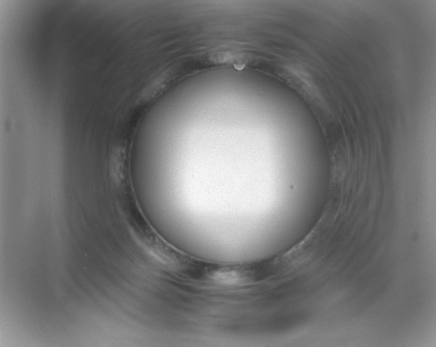 X0000071900171200607212026