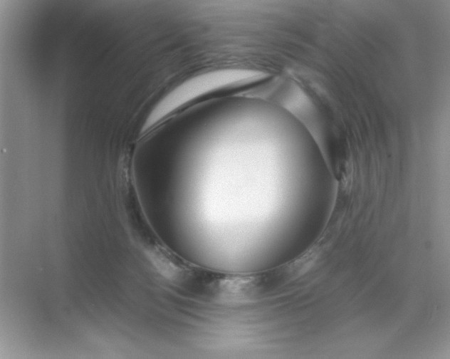 X0000071900172200607212026