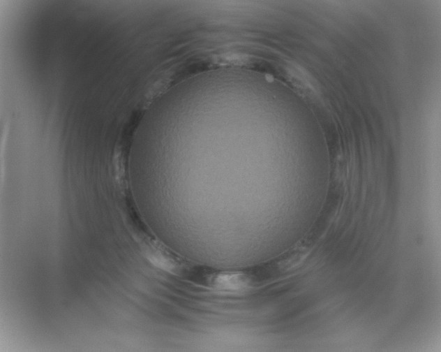 X0000071900173200607212026