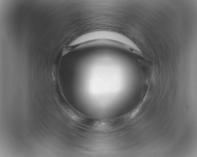 X0000071900174200607212026