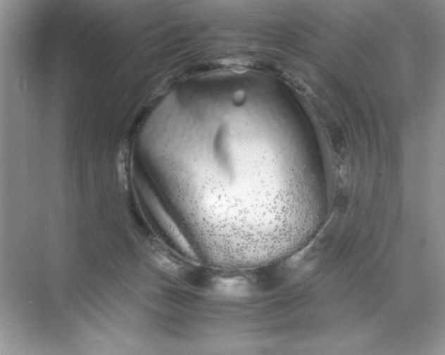 X0000071900175200607212026