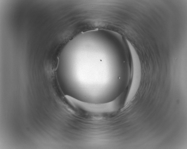 X0000071900176200607212026