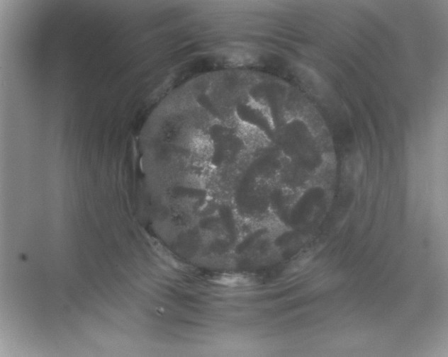 X0000071900177200607212026