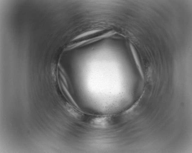 X0000071900178200607212026