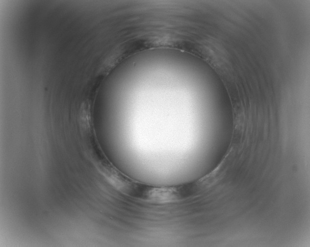 X0000071900179200607212026