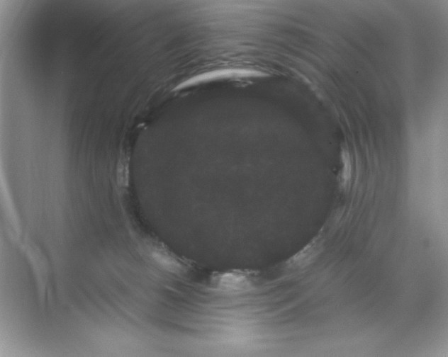 X0000071900180200607212026