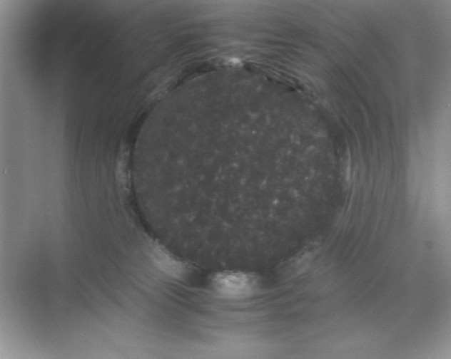 X0000071900181200607212026