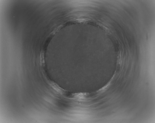 X0000071900182200607212026