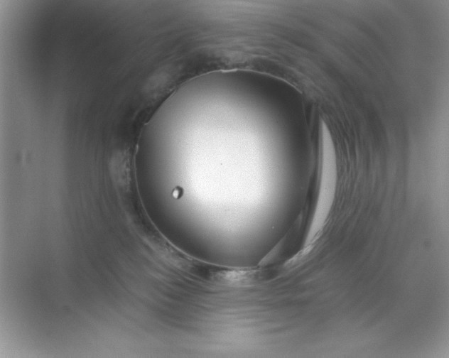 X0000071900184200607212026