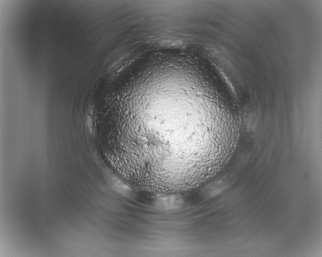 X0000071900185200607212026