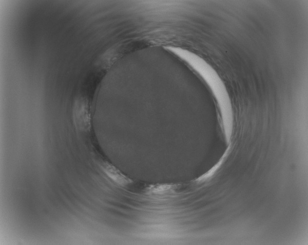 X0000071900186200607212026