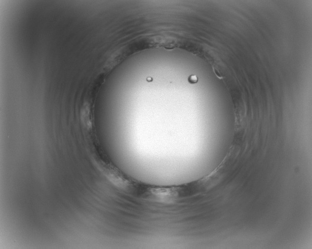 X0000071900187200607212026