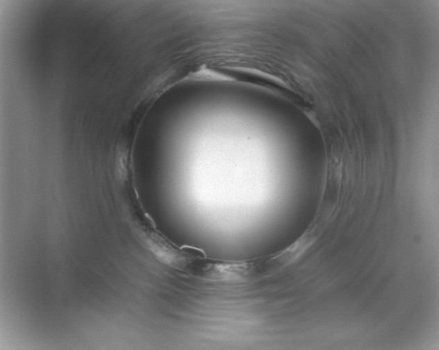 X0000071900188200607212026