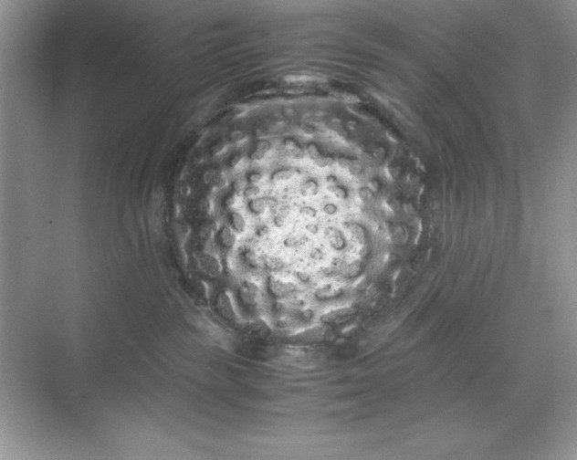 X0000071900189200607212026