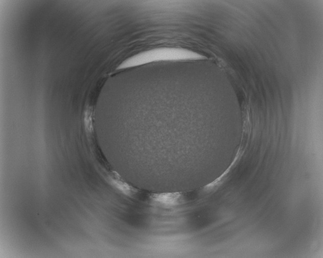 X0000071900191200607212026