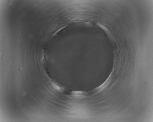 X0000071900192200607212026