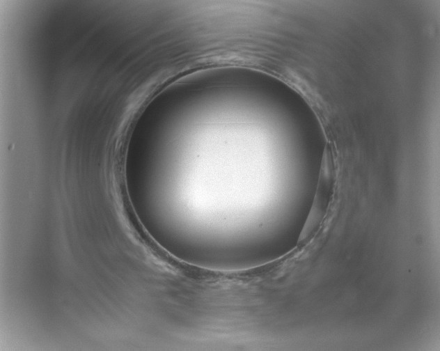 X0000071900193200607212025