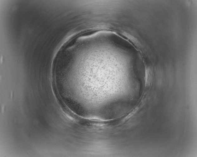 X0000071900195200607212025