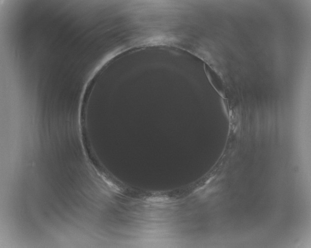 X0000071900196200607212025