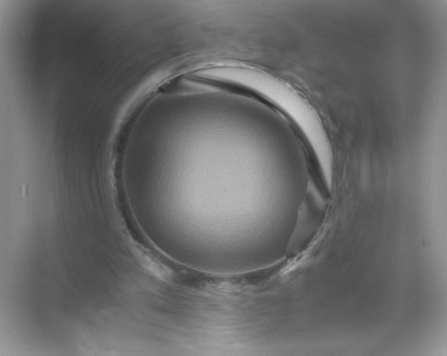 X0000071900197200607212025