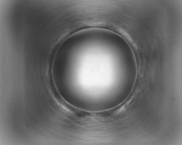 X0000071900201200607212025