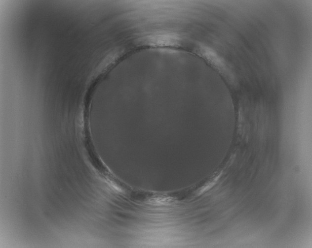 X0000071900202200607212025