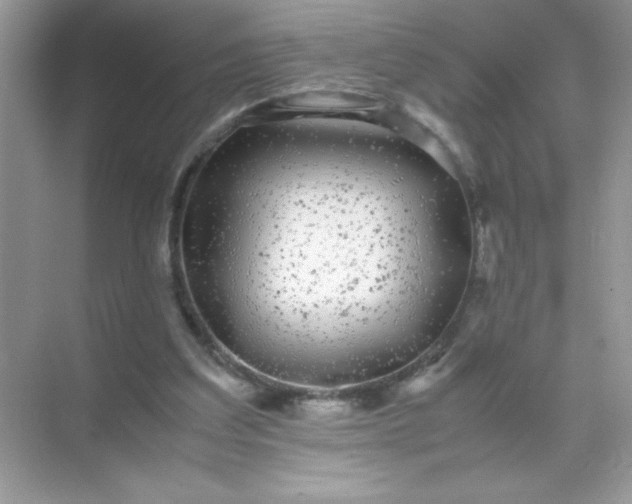 X0000071900203200607212025