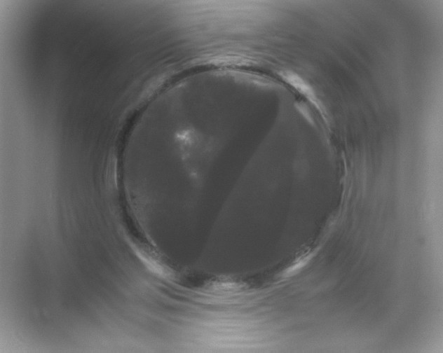 X0000071900205200607212025