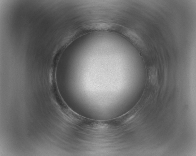 X0000071900206200607212025