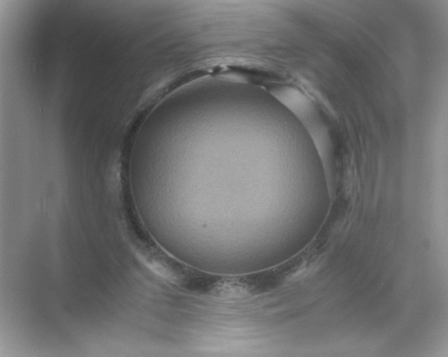 X0000071900207200607212025