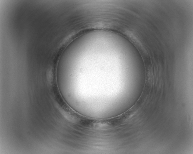 X0000071900208200607212025