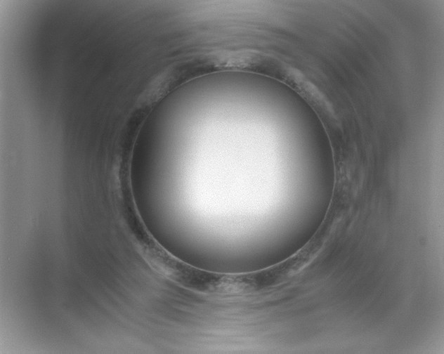 X0000071900209200607212025