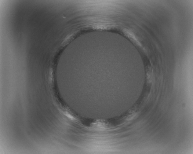 X0000071900211200607212025