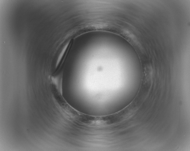 X0000071900212200607212025