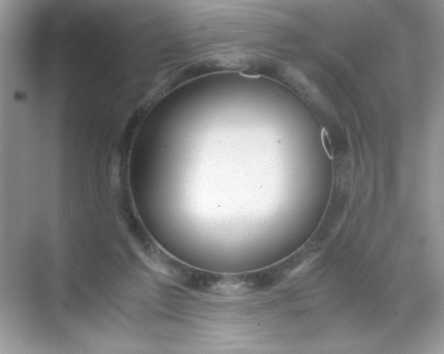 X0000071900213200607212025