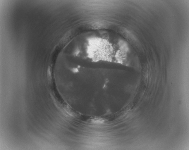 X0000071900214200607212025