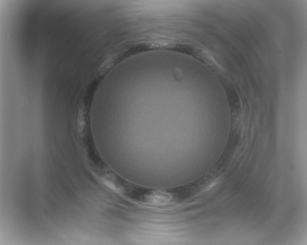 X0000071900215200607212025