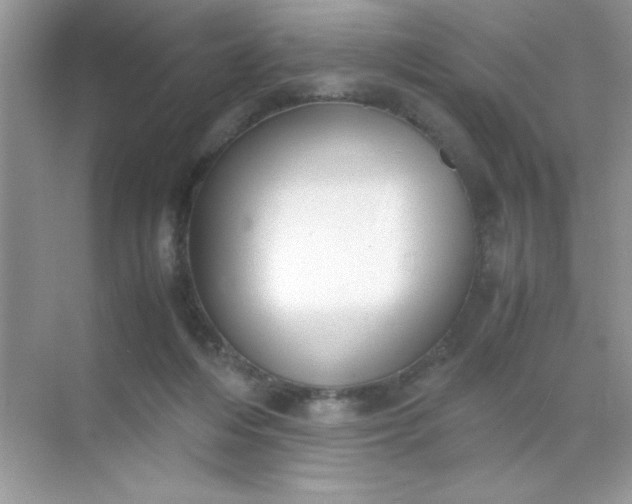 X0000071900216200607212025