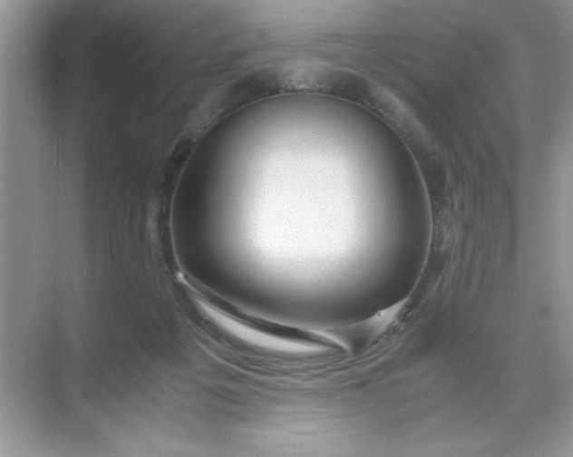 X0000071900217200607212025