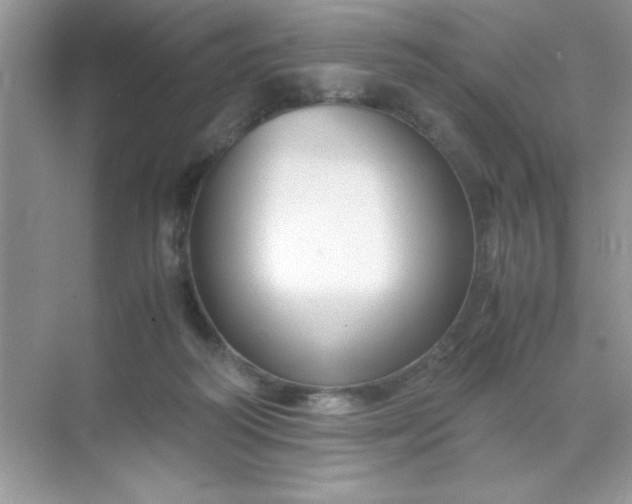 X0000071900218200607212025