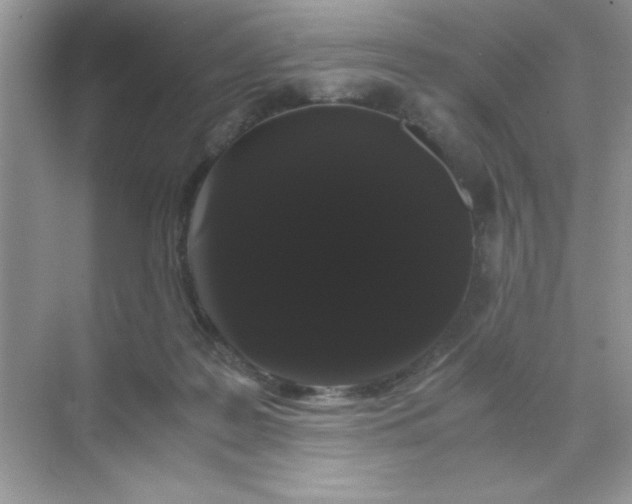 X0000071900219200607212025