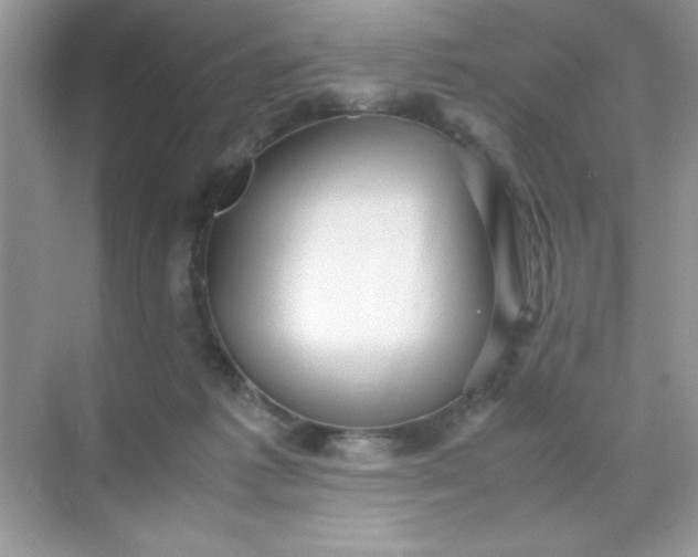 X0000071900221200607212025