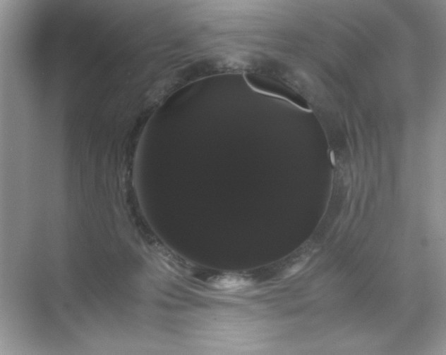 X0000071900223200607212025