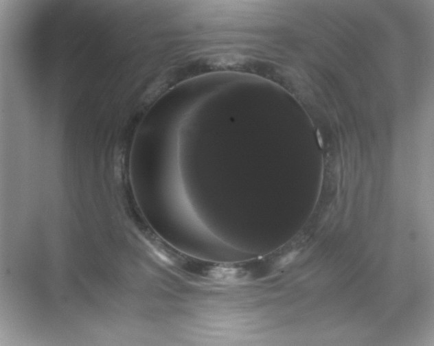 X0000071900227200607212025