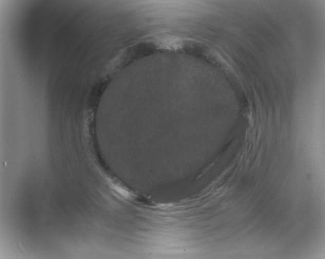 X0000071900229200607212025