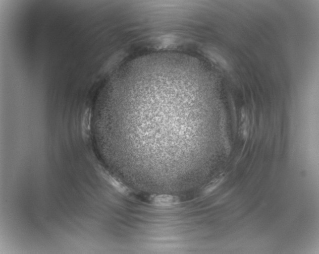 X0000071900230200607212024