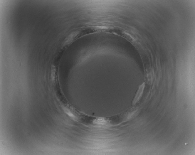 X0000071900231200607212024