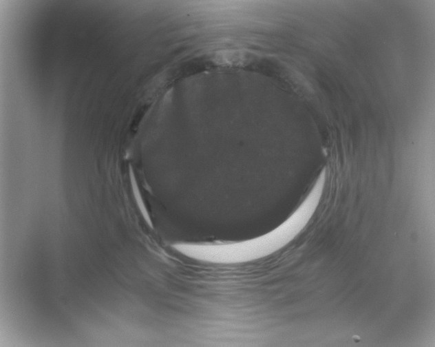 X0000071900233200607212024