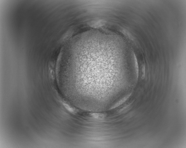 X0000071900234200607212024