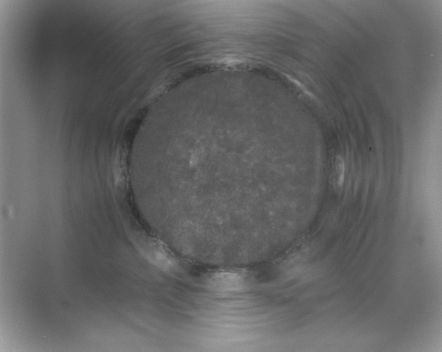 X0000071900236200607212024